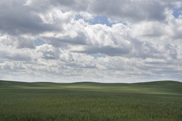rural landscape with cloudy sky