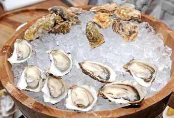 Oyster