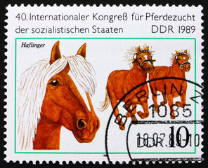 Postage stamp GDR 1989 Haflinger, Breed of Horse