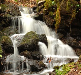 petite chute