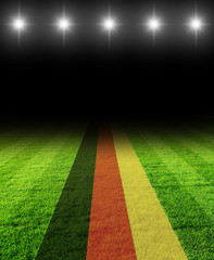 fussballfeld mit deutschland flagge - beleuchtet