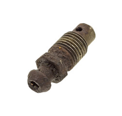 Brake bleed screw
