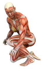 muscle woman croshed