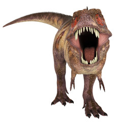 tyranosaur red face to face