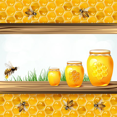 Landscape frame with glass jar bees and honeycombs