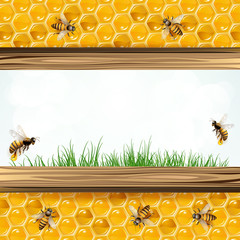 Landscape frame with bees and honeycombs