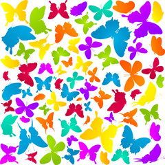 Fototapeta na wymiar Butterflies in colors