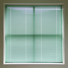 Green Window Blinds