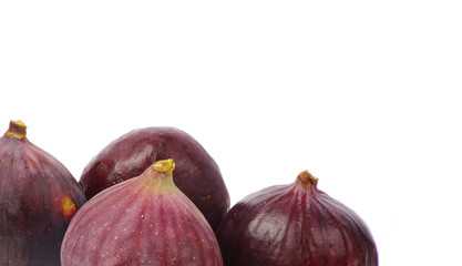fig