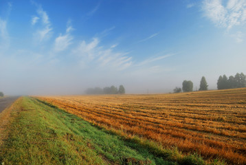 Fototapeta na wymiar Утро туманное на скошенном поле в Сибири.