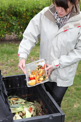 Woman making compost from old vegetables - obrazy, fototapety, plakaty