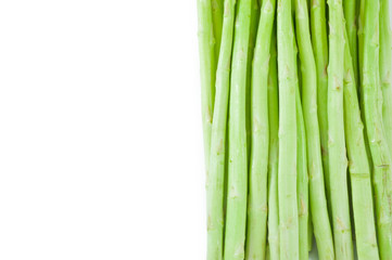 Asparagus sprouts isolated on white background