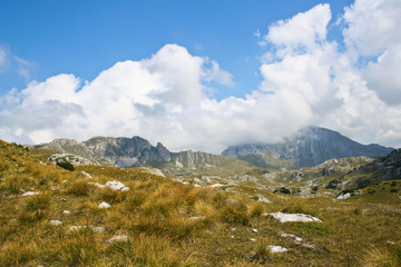 Fototapeta na wymiar National park Durmitor in Montenegro