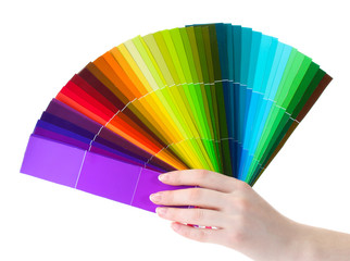 hand holding bright palette of colors isolated on white