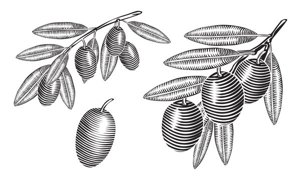 zeytin