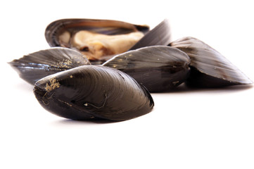 mussels - cozze
