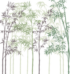 vector background with bamboo forest