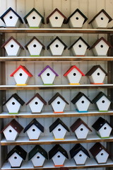 Fototapeta premium Bird houses