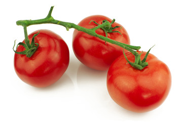 Tomatoes on stem