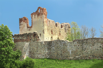 Fototapeta na wymiar Zakon Kawalerów ruiny zamku