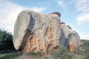 Nidos de cigüeña en Los Barruecos, Malpartida de CÁCERES, España