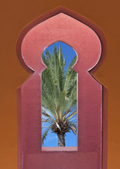 fenêtre marocaine sur palmier dattier