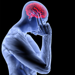 brain