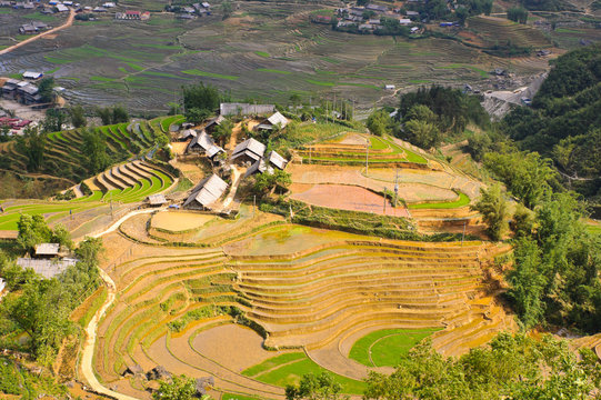 Rice terraced fields and Hmong minority village in Sapa, Vietnam
