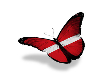 Latvian flag butterfly flying, isolated on white background