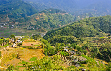 Fototapeta premium Mountain view of rice terraced fields in Sapa highland, Vietnam
