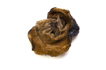 Obraz premium キクラゲ