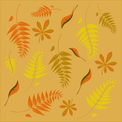 Fototapeta na wymiar An autumn background with different shaped leaves
