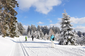 Naklejka premium Winter im Thüringer Wald