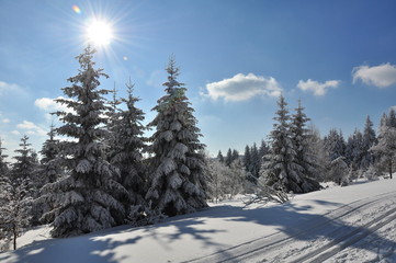 Wintersonne im Thüringer Wald