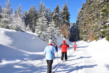 Naklejka premium Skifahrer im Thüringer Wald