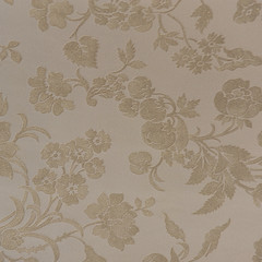 Fototapeta premium Close-up wallpaper texture
