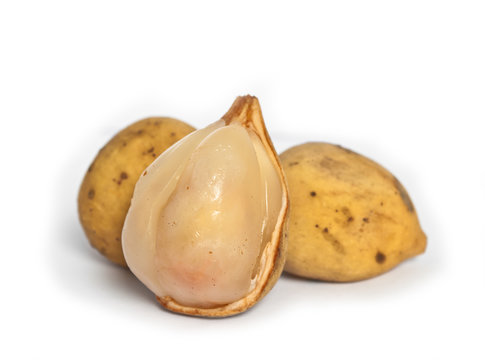Tropical fruit langsat