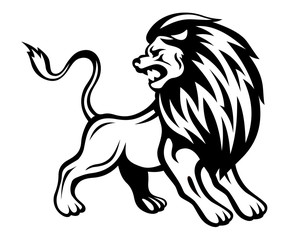 Angry lion