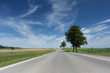 Landstraße in die Ferne - obrazy, fototapety, plakaty