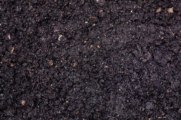 Soil texture background
