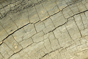 wood texture