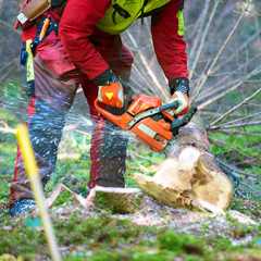 Kettensäge Brennholz machen