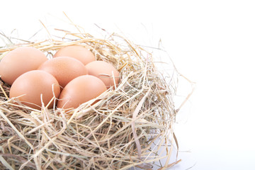 Brown eggs in a nest on a white background