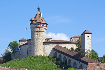 Fototapeta premium Summer in Schaffhausen
