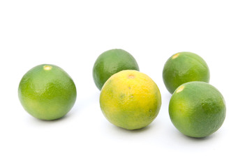 Fresh lime isolated on white