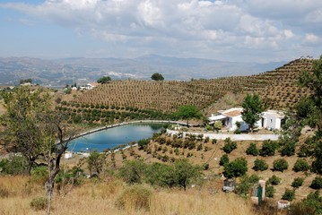 Country finca & farmland, Axarquia © Arena Photo UK © arenaphotouk