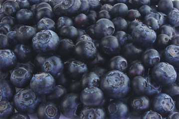 Lots of blueberries
