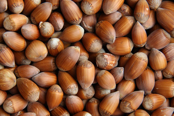 Noisettes