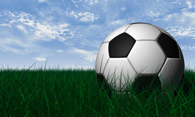 Soccer ball over green grass