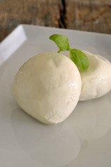 Mozzarella